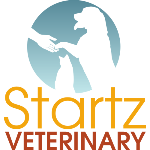 Startz Veterinary